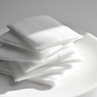 NUCLID CLEAN WIPE DUO